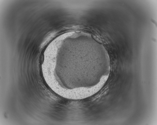 X0000097830341200804111045