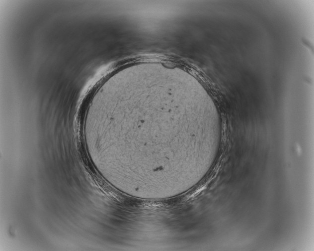 X0000097830343200804111045