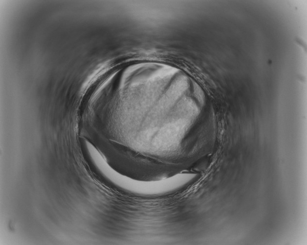 X0000097830344200804111045