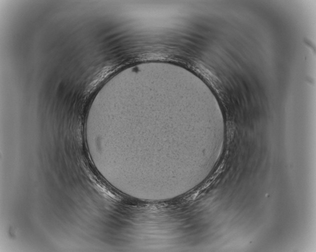 X0000097830345200804111045