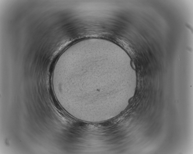 X0000097830346200804111045