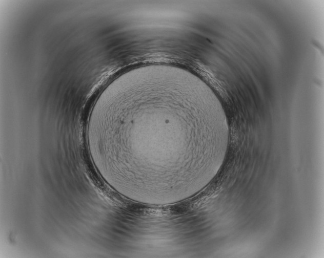 X0000097830347200804111045