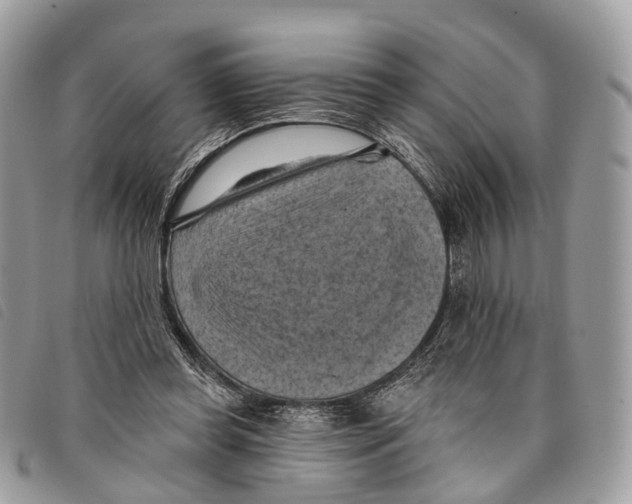 X0000097830349200804111045