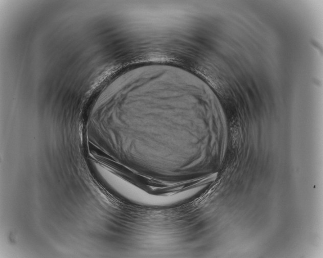 X0000097830350200804111045