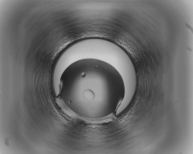 X0000097830352200804111045