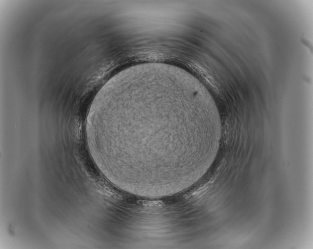 X0000097830355200804111045