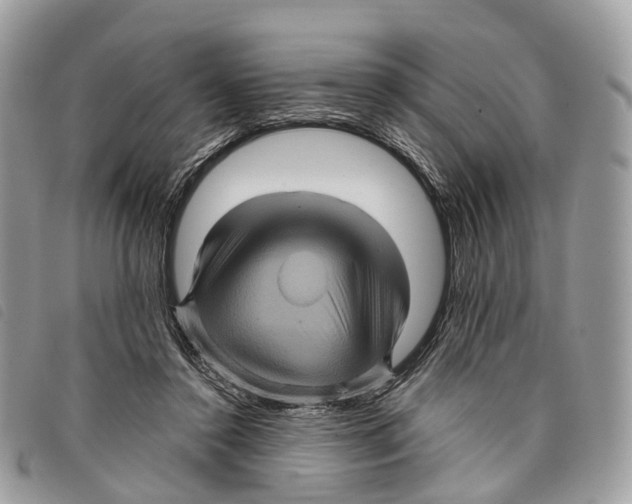 X0000097830356200804111045