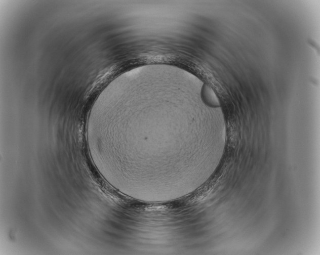 X0000097830357200804111045