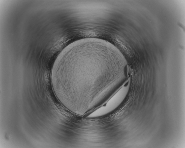 X0000097830359200804111045