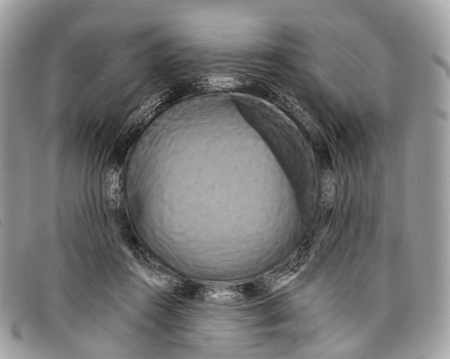 X0000097830360200804111045