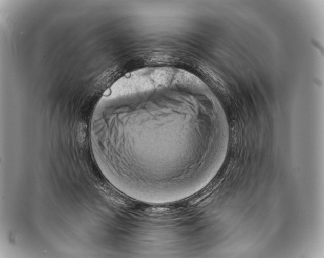 X0000097830361200804111045