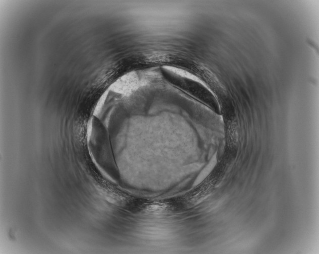 X0000097830364200804111045