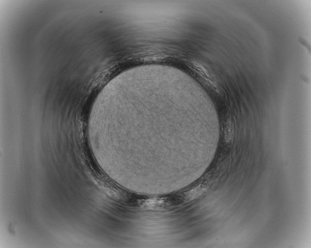 X0000097830366200804111045