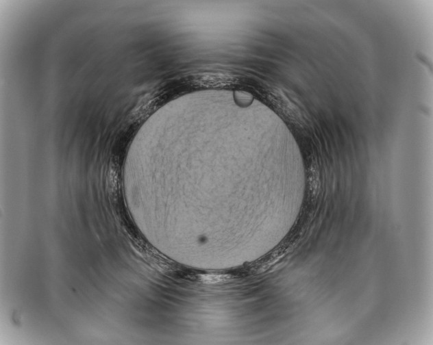 X0000097830371200804111045