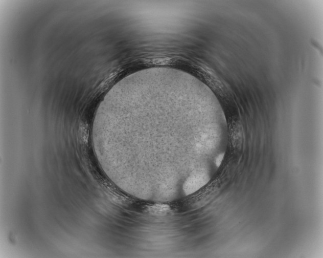 X0000097830374200804111045