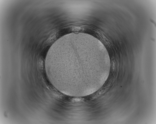 X0000097830375200804111045