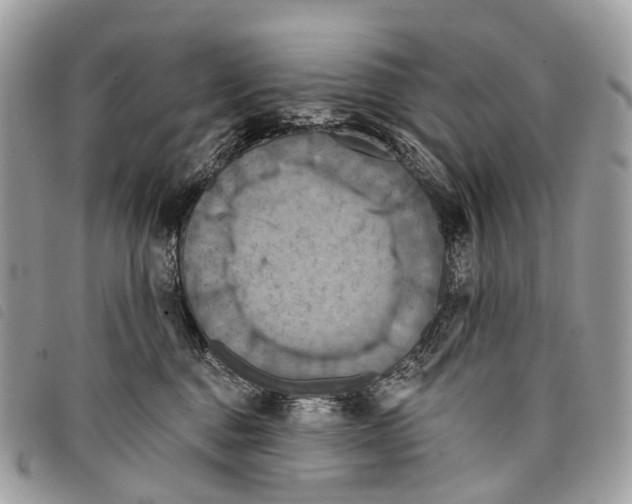 X0000097830376200804111045