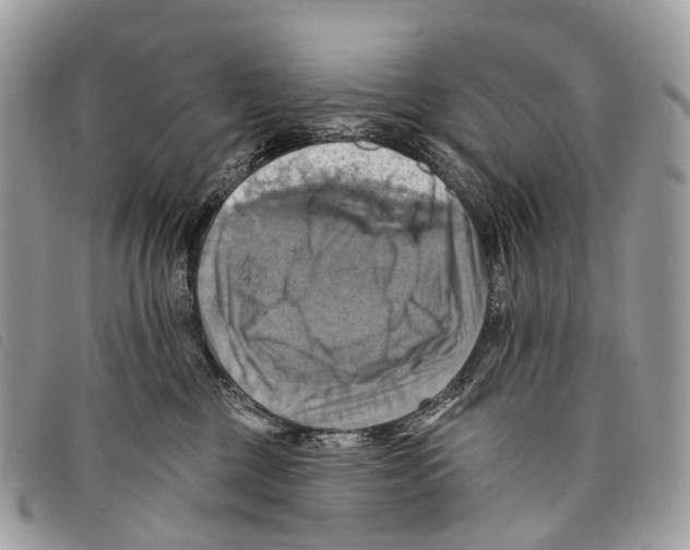 X0000097830377200804111045