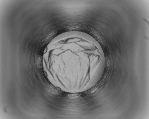 X0000097830378200804111045