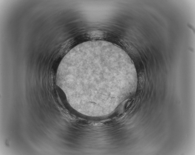 X0000097830379200804111045