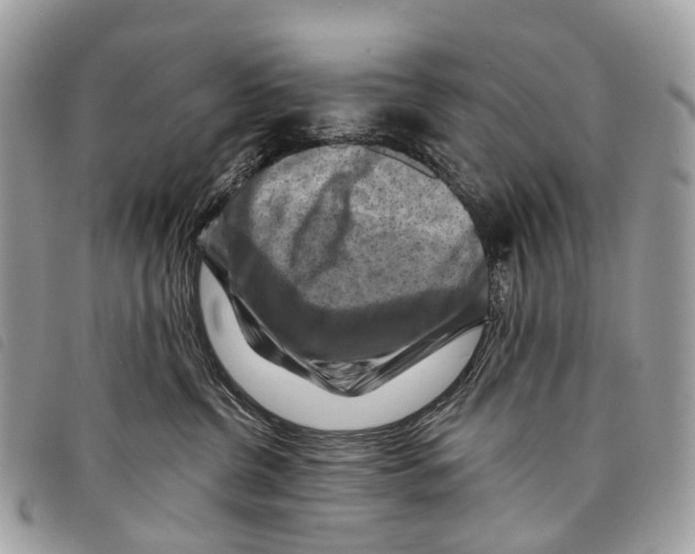 X0000097830380200804111045