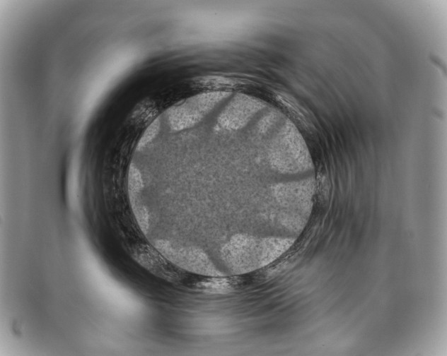 X0000097830381200804111045