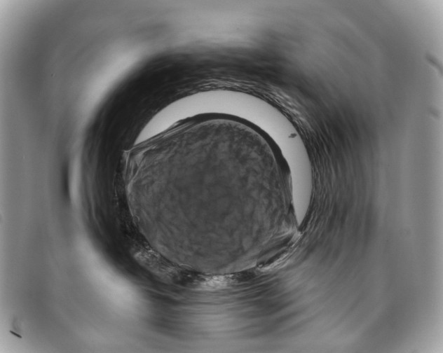 X0000097830382200804111045