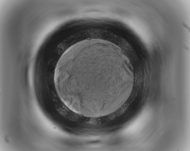 X0000097830383200804111045