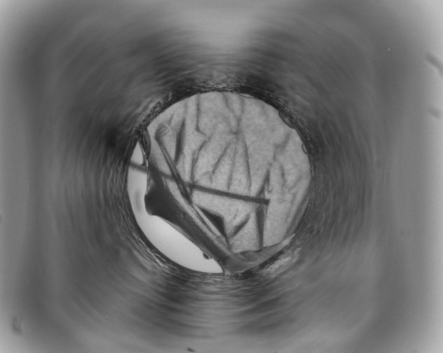 X0000097830384200804111045