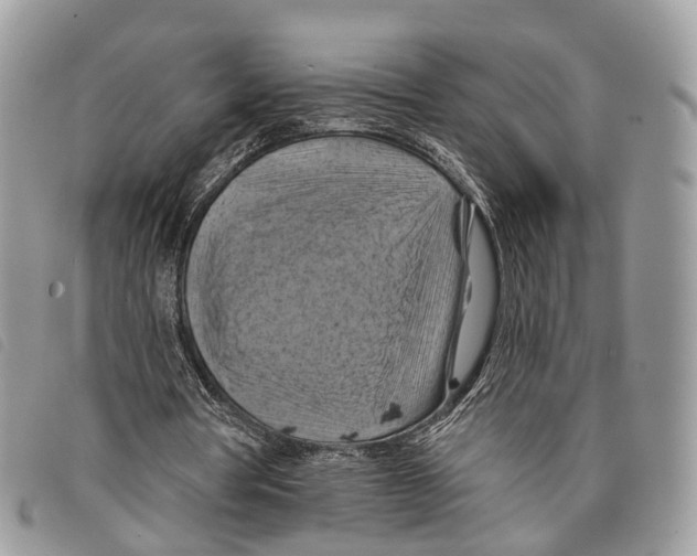 X0000097830386200804111045