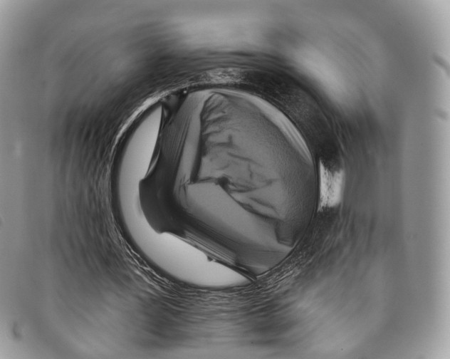 X0000097830387200804111045