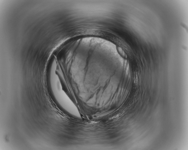 X0000097830388200804111045