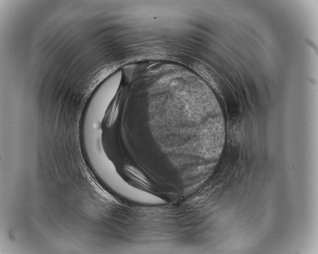 X0000097830389200804111045