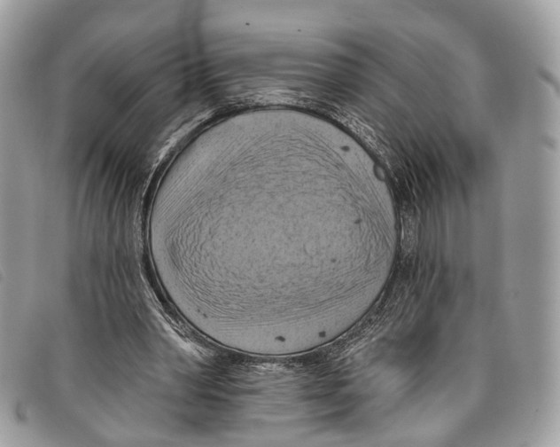 X0000097830390200804111045