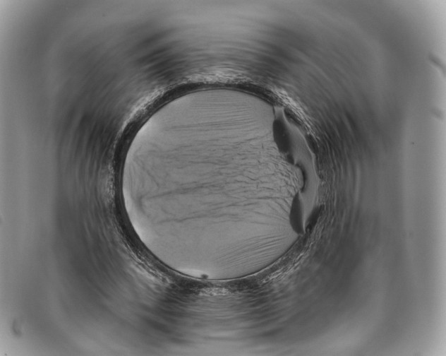 X0000097830392200804111045