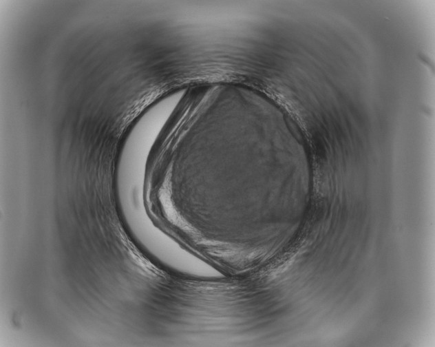 X0000097830393200804111045