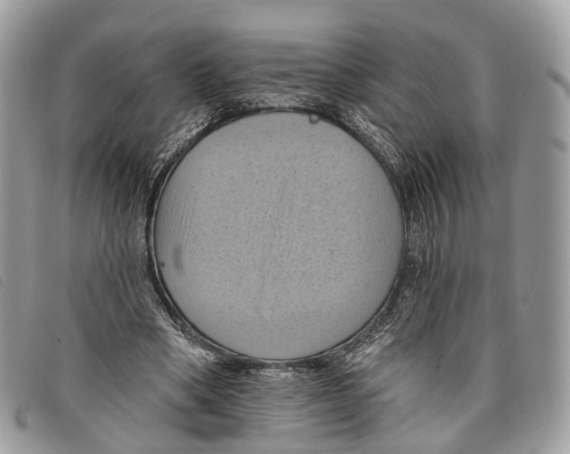 X0000097830394200804111045