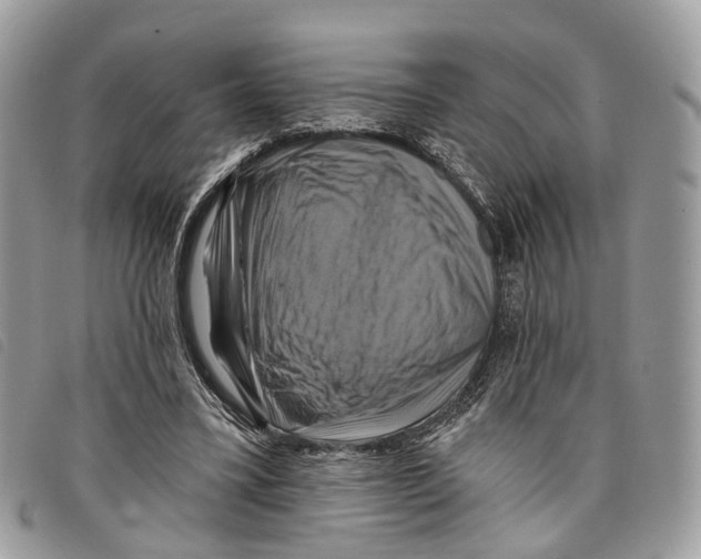 X0000097830395200804111045