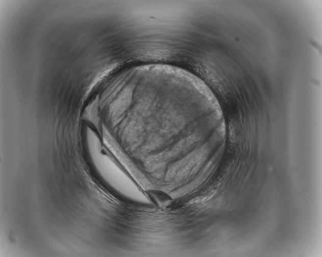 X0000097830396200804111045