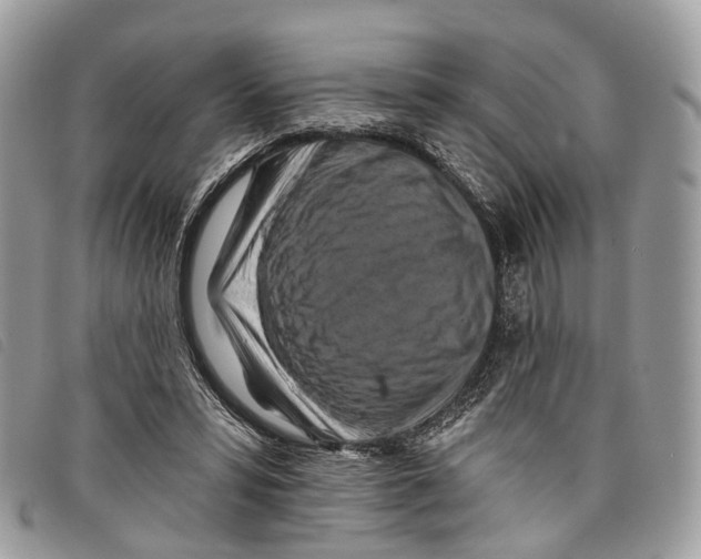 X0000097830399200804111045