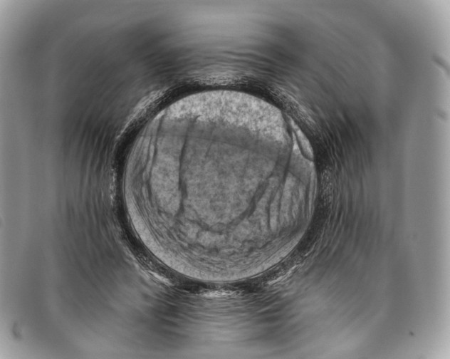 X0000097830400200804111044