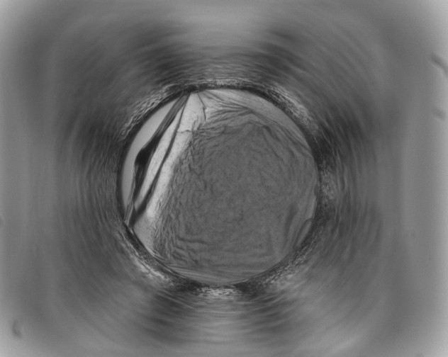 X0000097830401200804111044