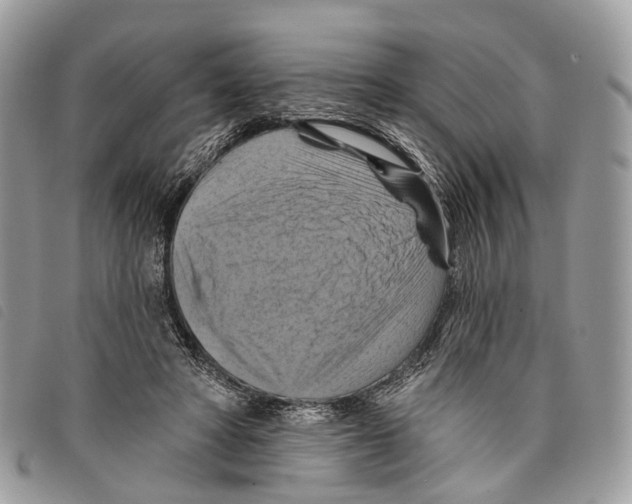 X0000097830402200804111044