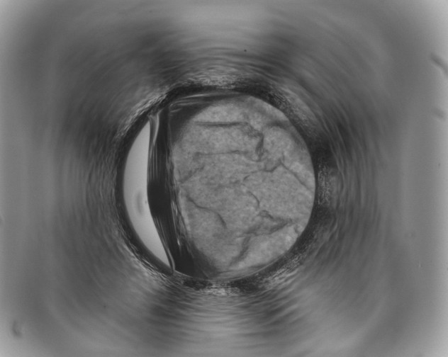 X0000097830404200804111044