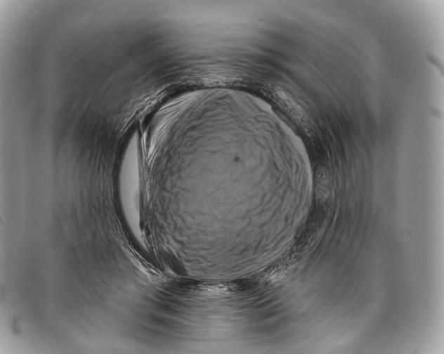 X0000097830405200804111044