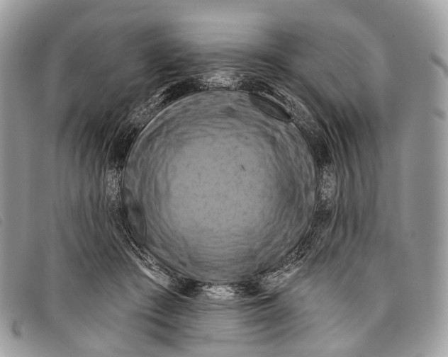 X0000097830409200804111044