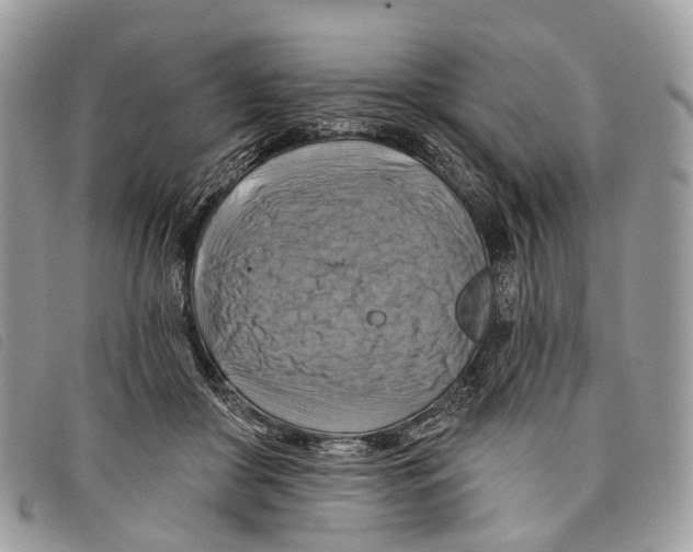 X0000097830410200804111044