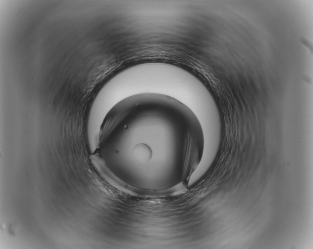 X0000097830411200804111044