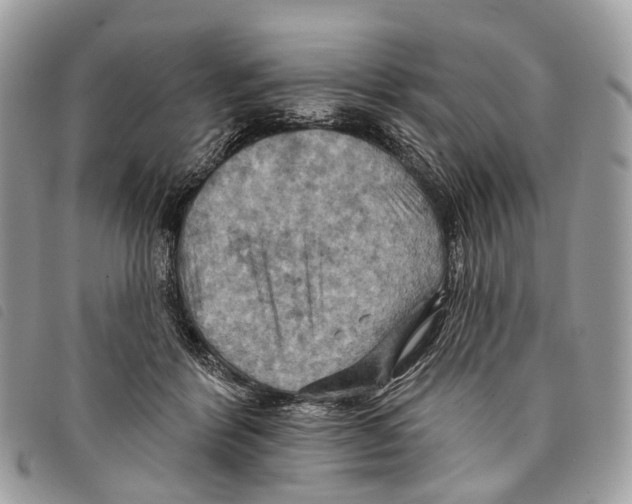 X0000097830412200804111044