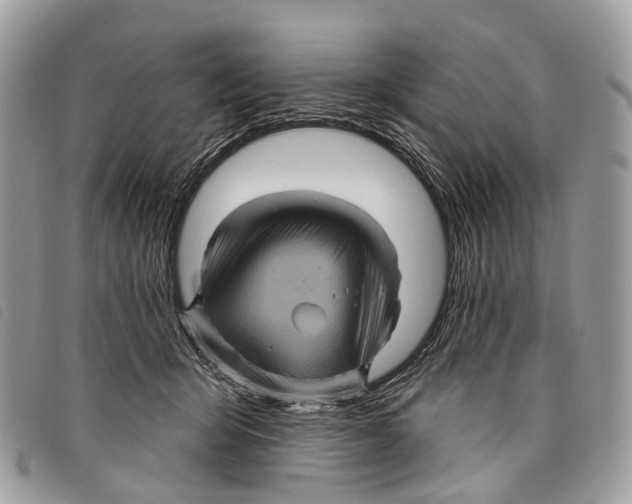 X0000097830415200804111044